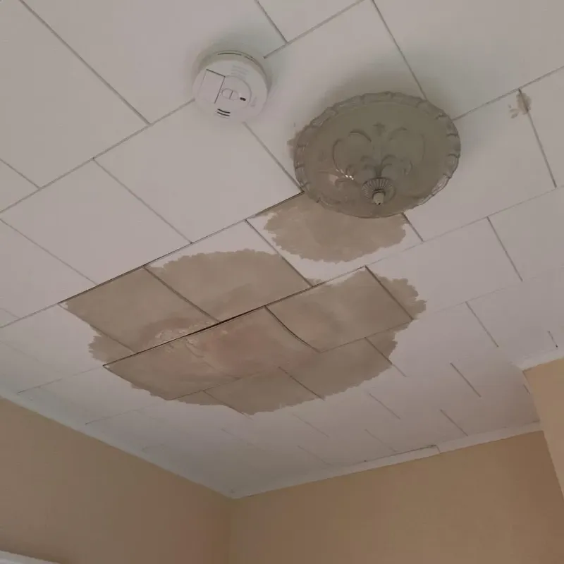 Ceiling Water Damage Repair in Henry County, IL