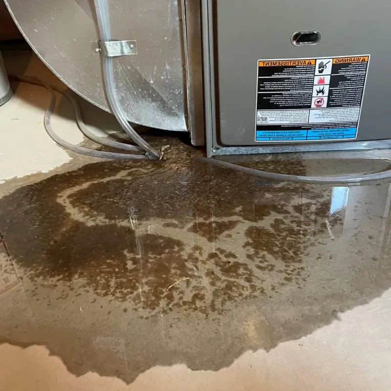 Pipe Burst and Leak Restoration in Henry County, IL