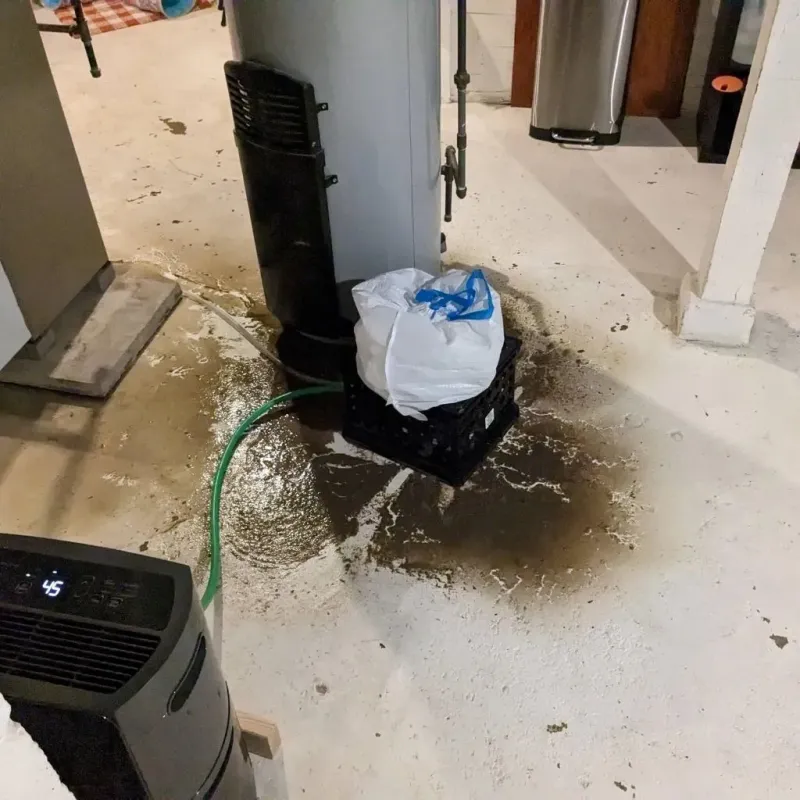 Sewage Backup Cleanup Service in Henry County, IL